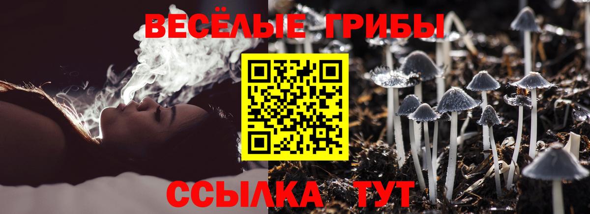 Псилоцибиновые грибы Psilocybine cubensis Южноуральск